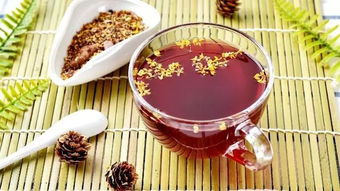 養(yǎng)生相伴，共品二十四節(jié)氣之美